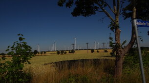 Der Blick vom Wohngebiet in der Meldorfer Straße auf den Windpark "Altentreptow West". Foto: Landtag M-V