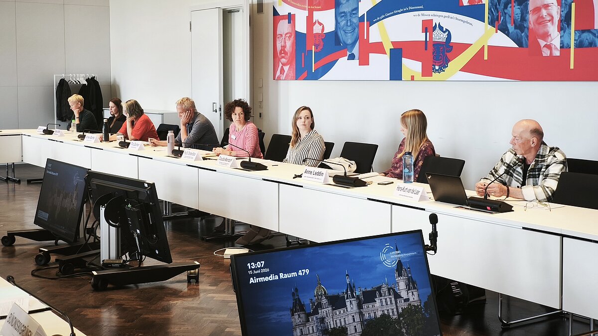 Sachverständige zum Gewalthilfegesetz (Foto: Landtag M-V)