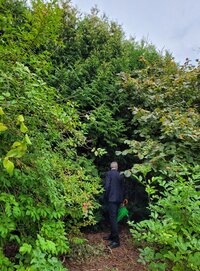 Vorsitzender des Petitionsausschusses Thomas Krüger vor der Hecke. Foto: Landtag M-V